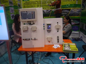 科技賦能 味蕾綻放——3000多項(xiàng)食用菌產(chǎn)品技術(shù)亮相青島會(huì)展，計(jì)量技術(shù)服務(wù)助力產(chǎn)業(yè)升級(jí)